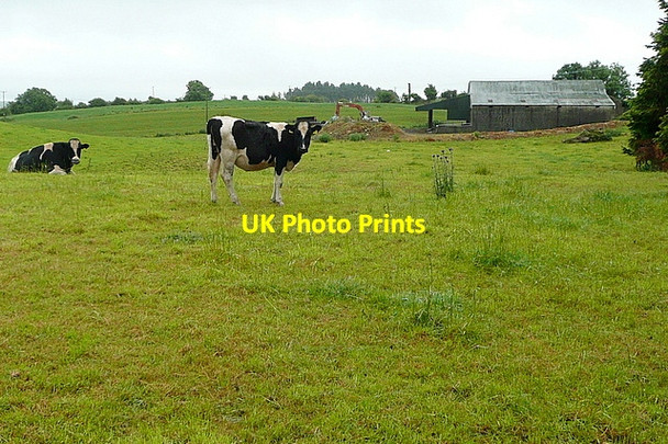Photo 6"x4" Pasture at Clooncugger Caheragh c2013