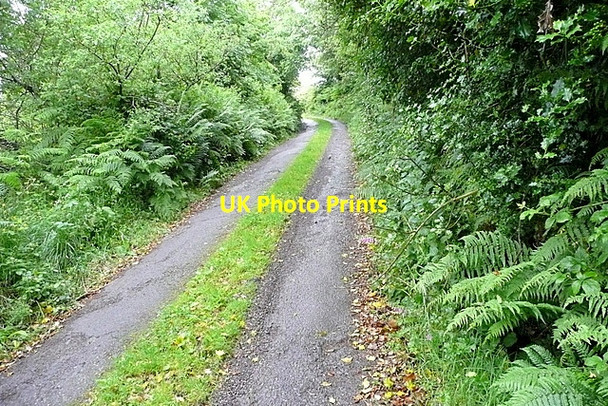 Photo 6"x4" Minor road at Clashduff Drimoleague c2013