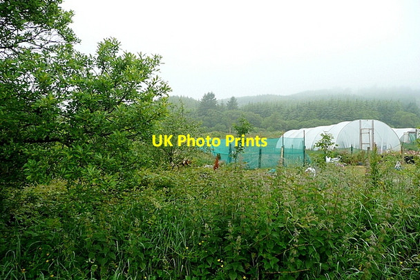 Photo 6"x4" Polytunnels at Leitra Upper Drimoleague c2013