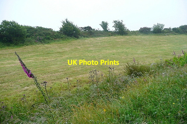 Photo 6"x4" Pasture near Deelish Drimoleague c2013