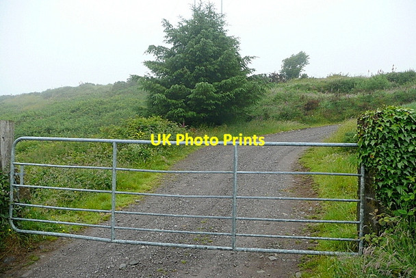 Photo 6"x4" Track at Moyny Upper Drimoleague c2013