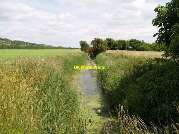 Photo 6"x4" Willop Sewer Donkey Street c2013