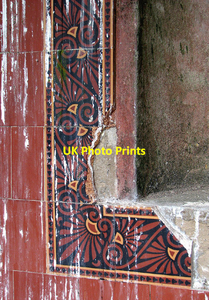 Photo 6"x4" Disused summer house in Bradmoor Plantation, Narford West Acre c2013 P1