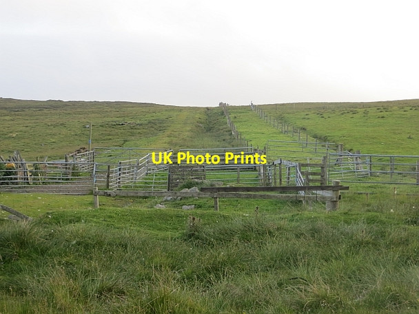 Photo 6"x4" Gathering pens, Garderhouse Leeans\/HU3347 c2013