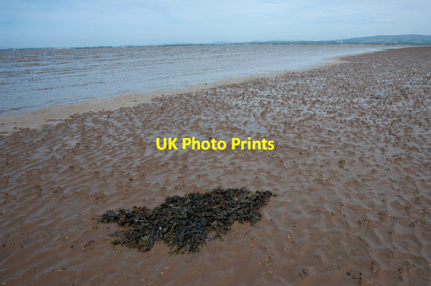 Photo 6"x4" Incoming Tide Pilling sands Pilling Lane c2013