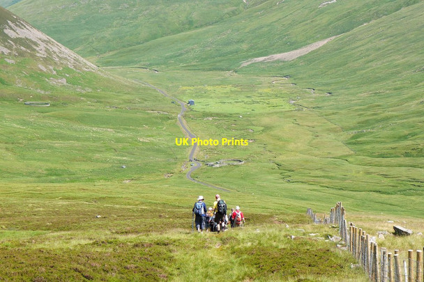 Photo 6"x4" Descending Fans Law Talla Linnfoots c2013