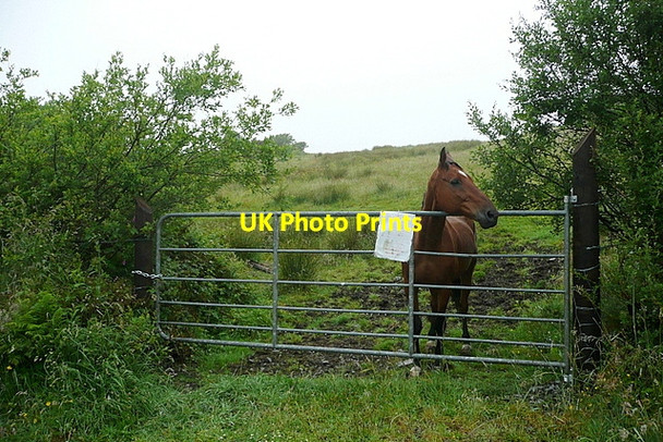 Photo 6"x4" Good morning Durrus c2013