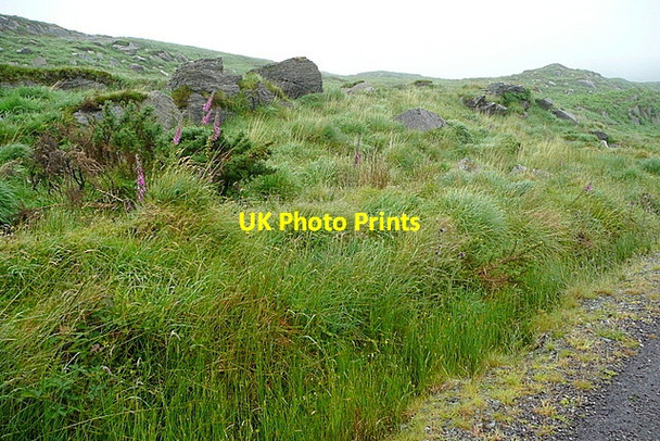 Photo 6"x4" Land at Barryroe Dromore\/W0545 c2013