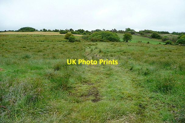 Photo 6"x4" Land at Ballyourane Caheragh c2013