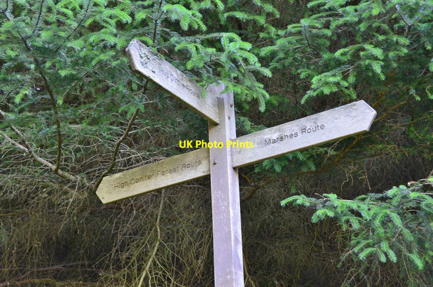 Photo 6"x4" Footpath signpost, Ettrick Marshes Wardlaw\/NT2916 c2013