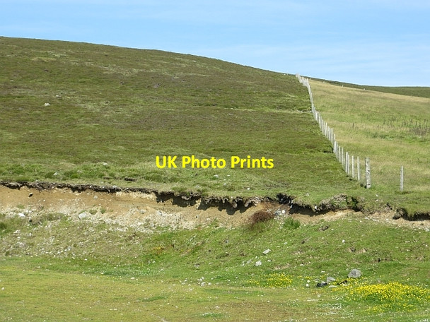 Photo 6"x4" Fence, Ward of Browland Hestaford c2013
