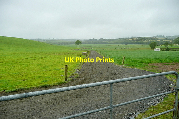 Photo 6"x4" Pasture at Caheragh Caheragh c2013