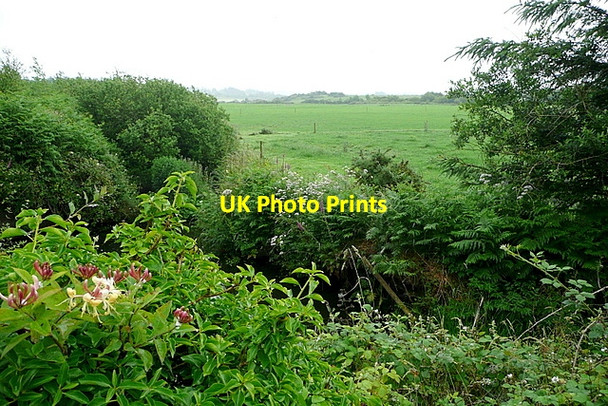 Photo 6"x4" Pasture at Clonelly Caheragh c2013