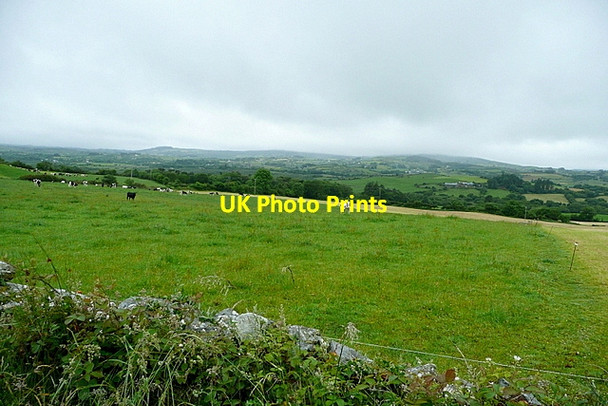 Photo 6"x4" Pasture at Kilmore Drimoleague c2013