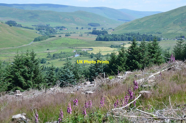 Photo 6"x4" Ettrick valley from Gamescleuch Hill Wardlaw\/NT2916 c2013