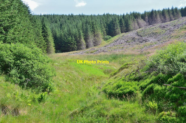 Photo 6"x4" Valley of Rough Sike, Gamescleuch Hill Ettrick c2013