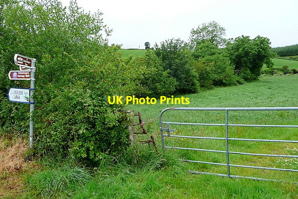 Photo 6"x4" Pasture near Ahanafunsion Bridge Drimoleague c2013