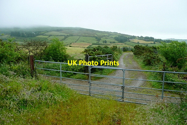 Photo 6"x4" View at Leitra Lower Drimoleague c2013