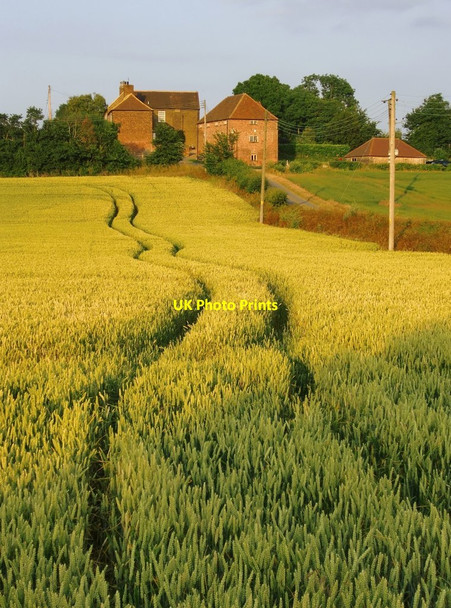 Photo 6"x4" Green Farm, Shorne, in July Shorne c2013