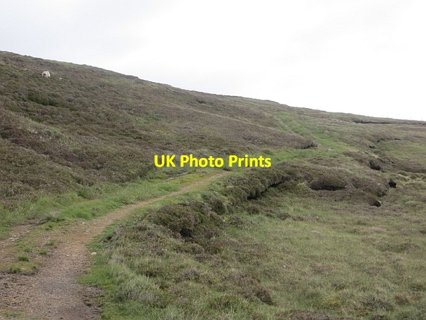 Photo 6"x4" Peat track, Watch Hill Burnside\/HU2778 c2013