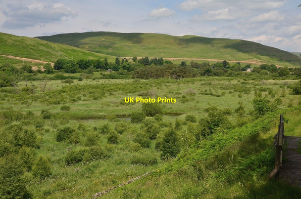 Photo 6"x4" Ettrick Marshes view Wardlaw\/NT2916 c2013