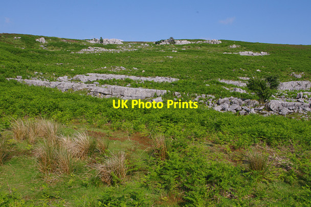 Photo 6"x4" Limestone outcrops, Leck Fell Leck c2013