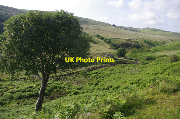Photo 6"x4" Leck Beck valley Casterton c2013