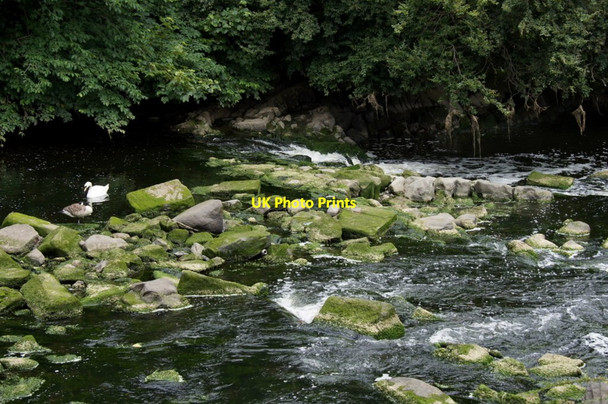Photo 6"x4" Cramond Falls on the River Almond Cramond c2013