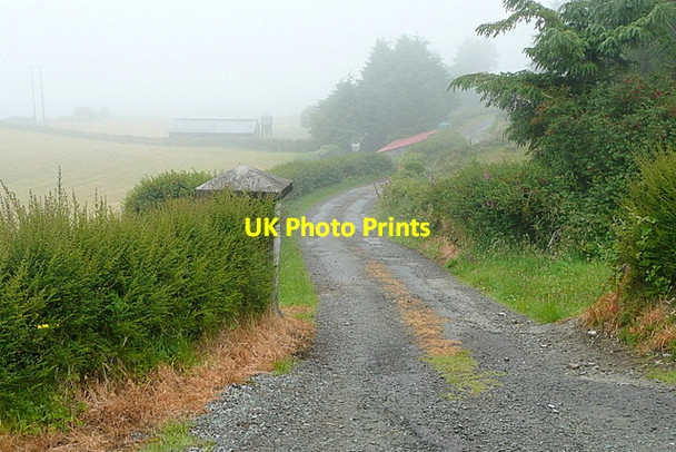 Photo 6"x4" Track at Toughraheen Drimoleague c2013