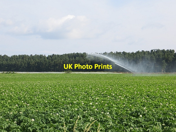 Photo 6"x4" Irrigation, Howe of Fife Ladybank\/NO3009 c2013