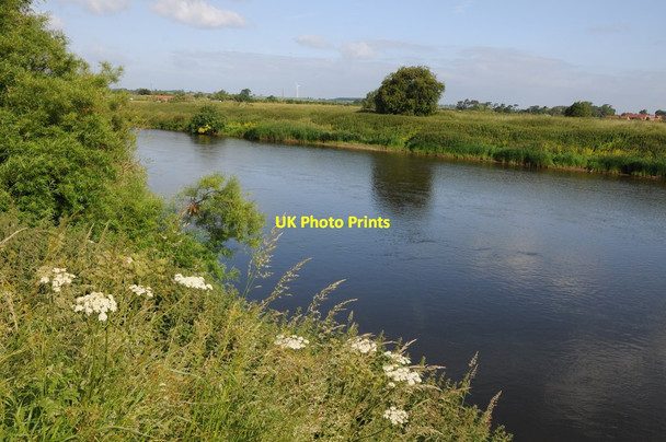 Photo 6"x4" The River Trent, Newark-on-Trent South Muskham c2013