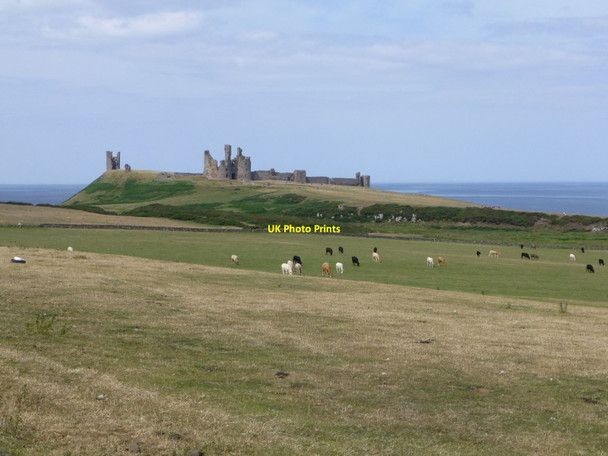 Photo 6"x4" Dunstanburgh Castle  Craster c2013