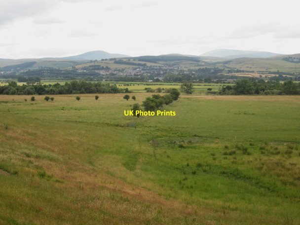 Photo 6"x4" Grassland near the River Till East Horton c2013
