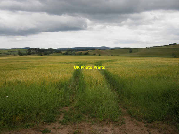 Photo 6"x4" Arable land east of Weetwood Hall East Horton c2013