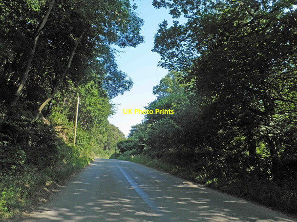 Photo 6"x4" The B5381 Ffridd y Mynydd Bryn-y-maen\/SH8376 c2013