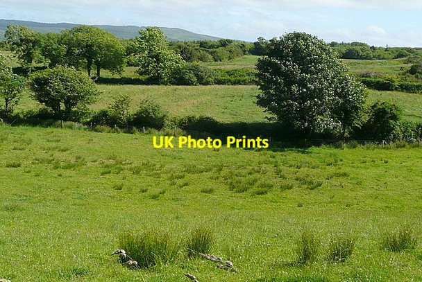 Photo 6"x4" View at Coomkeen Durrus c2013