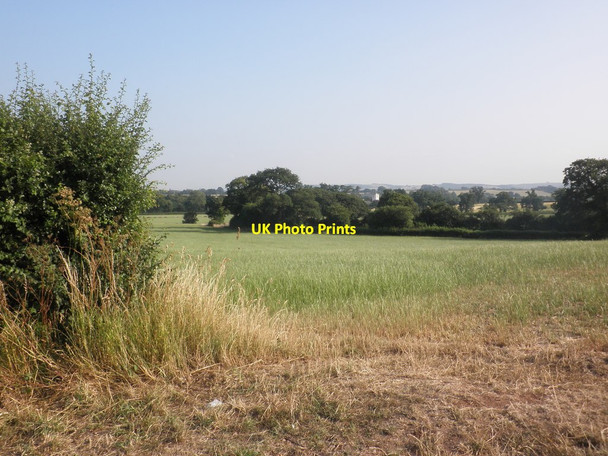 Photo 6"x4" Looking over the fields, towards Fiddington Coultings c2013