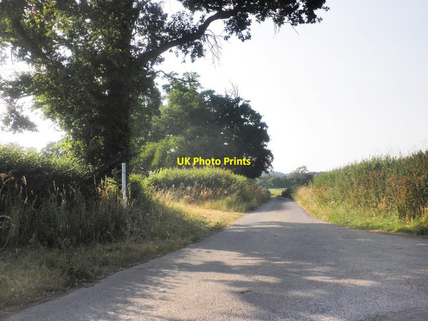 Photo 6"x4" Turning for Roobies Farm Fiddington\/ST2140 c2013