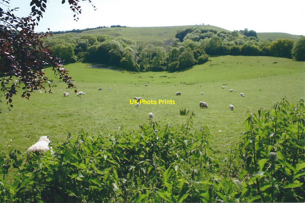 Photo 6"x4" Didling Hill Didling c2005
