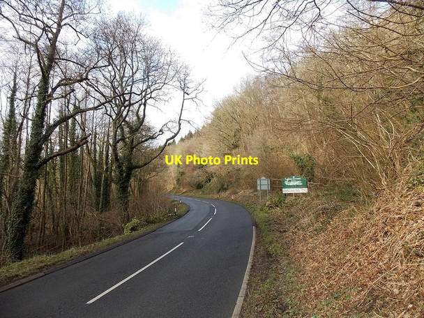 Photo 6"x4" Road from Lydney enters the Forest of Dean Allaston c2013