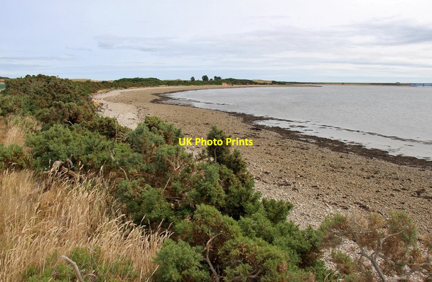 Photo 6"x4" North shore of Dornoch Firth Clashmore\/NH7489 c2013