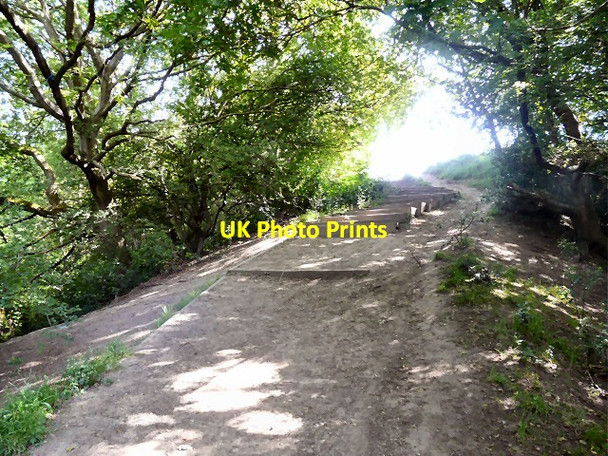 Photo 6"x4" Steps out of Gower Hey Wood Hyde\/SJ9494 c2013