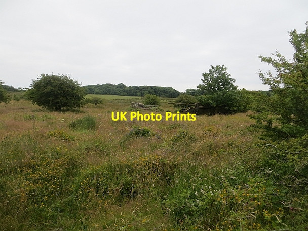 Photo 6"x4" Tanks, Kirkcudbright Infantry Training Range Dundrennan c2013
