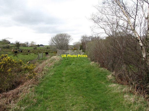 Photo 6"x4" Causeway along the northern edge of  Roughan Bog Ballyroney c2013