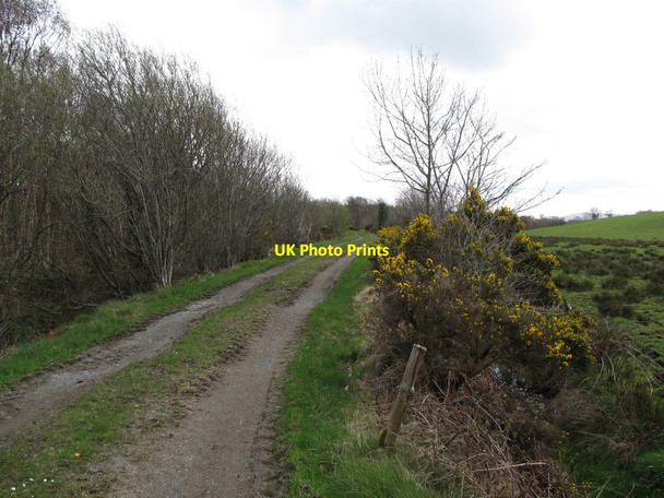 Photo 6"x4" Causeway south towards Roghan Bog Ballyroney c2013