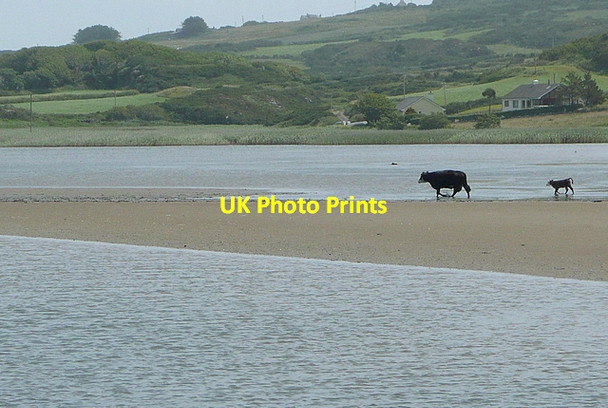 Photo 6"x4" Crossing the estuary Crookhaven c2013