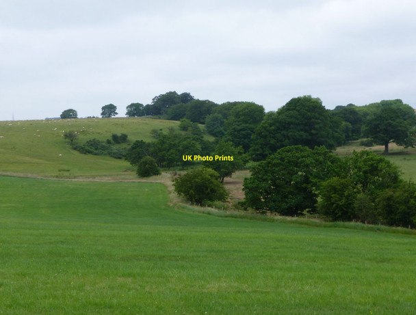 Photo 6"x4" Trees follow the course of the Hampeth Burn Hampeth c2013