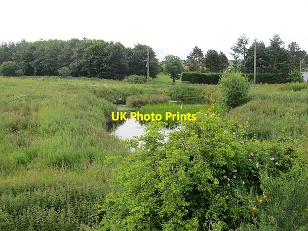 Photo 6"x4" Pond, Broomfold Elrick\/NJ8206 c2013