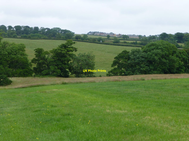 Photo 6"x4" Looking across pasture and the Hampeth Burn  Hampeth c2013