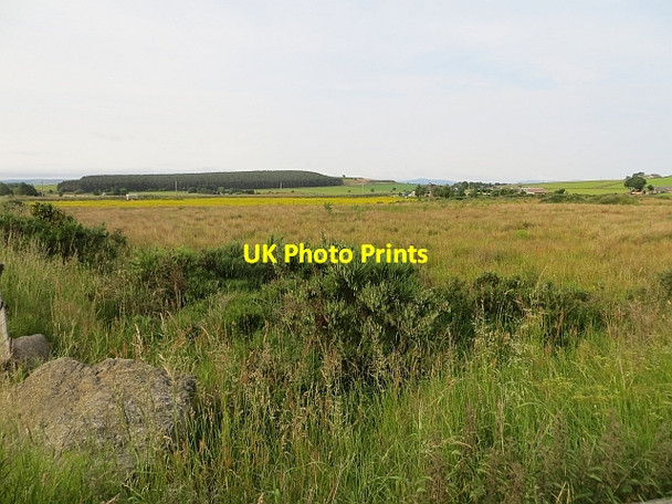 Photo 6"x4" Fields outside Westhill Elrick\/NJ8206 c2013